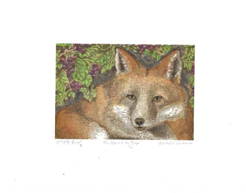 A fox next to a grape vine