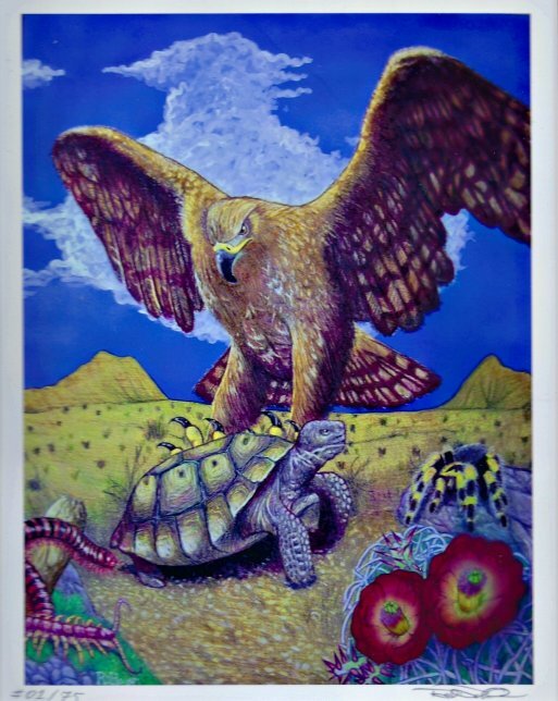 Acrylic painting of an eagle and a tortoise